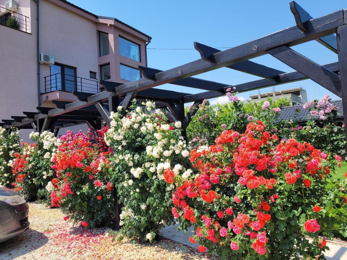 泰基尔吉奥尔 Kys House酒店 外观 照片